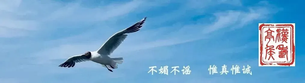 ＂哭则不歌＂的克制-《论语》乱弹(一四七)