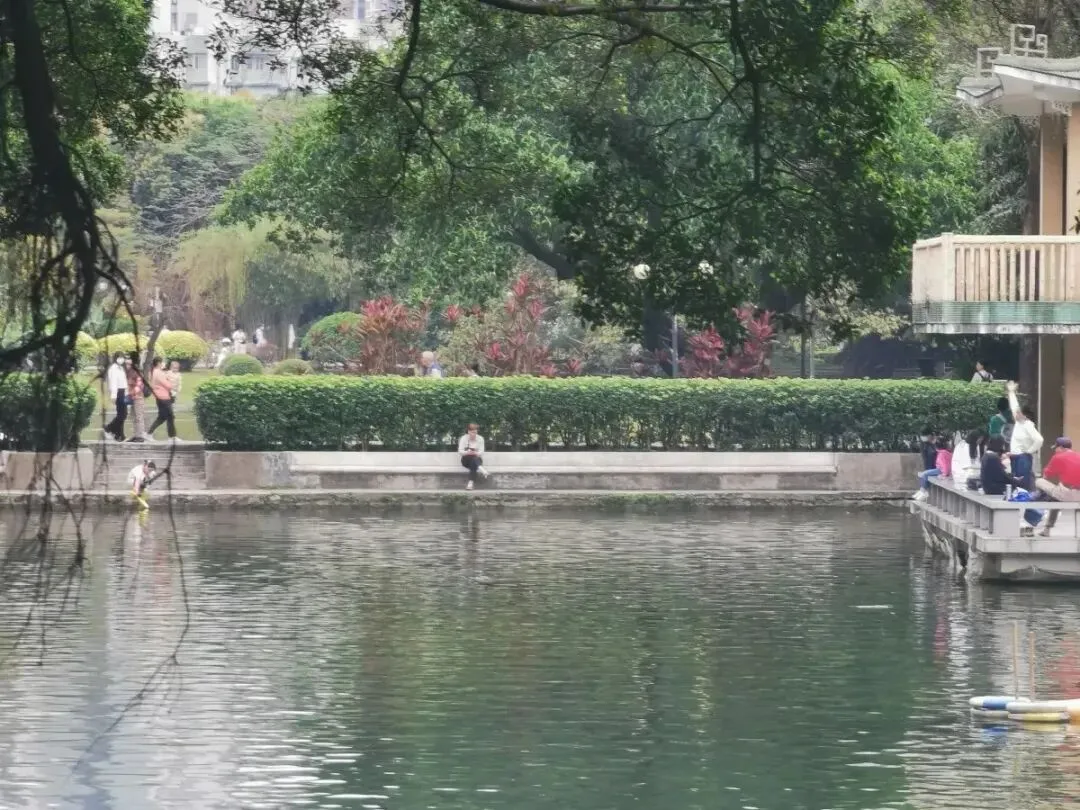 学歌5年,我终于懂了:无知者无畏,越懂越敬畏