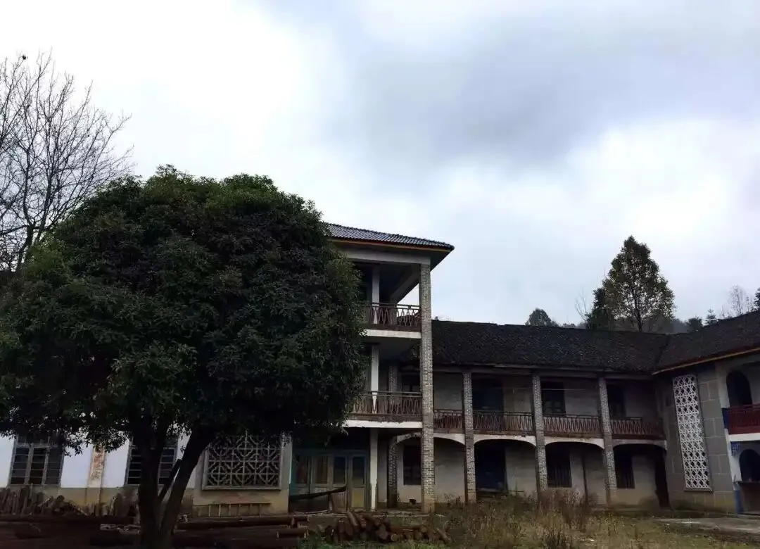 经典老歌《过火》粤语版