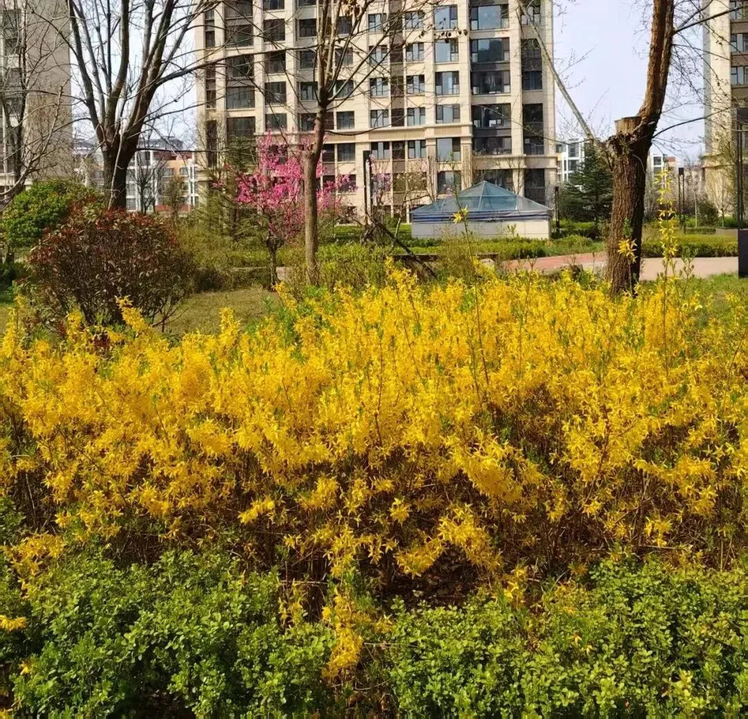 骑着电驴唱只歌