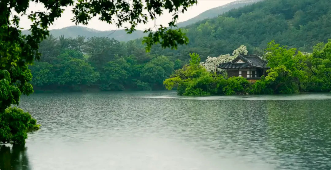 每天一首歌曲:清明 云菲菲