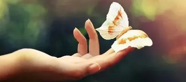 歌曲 | 当我想你的时候