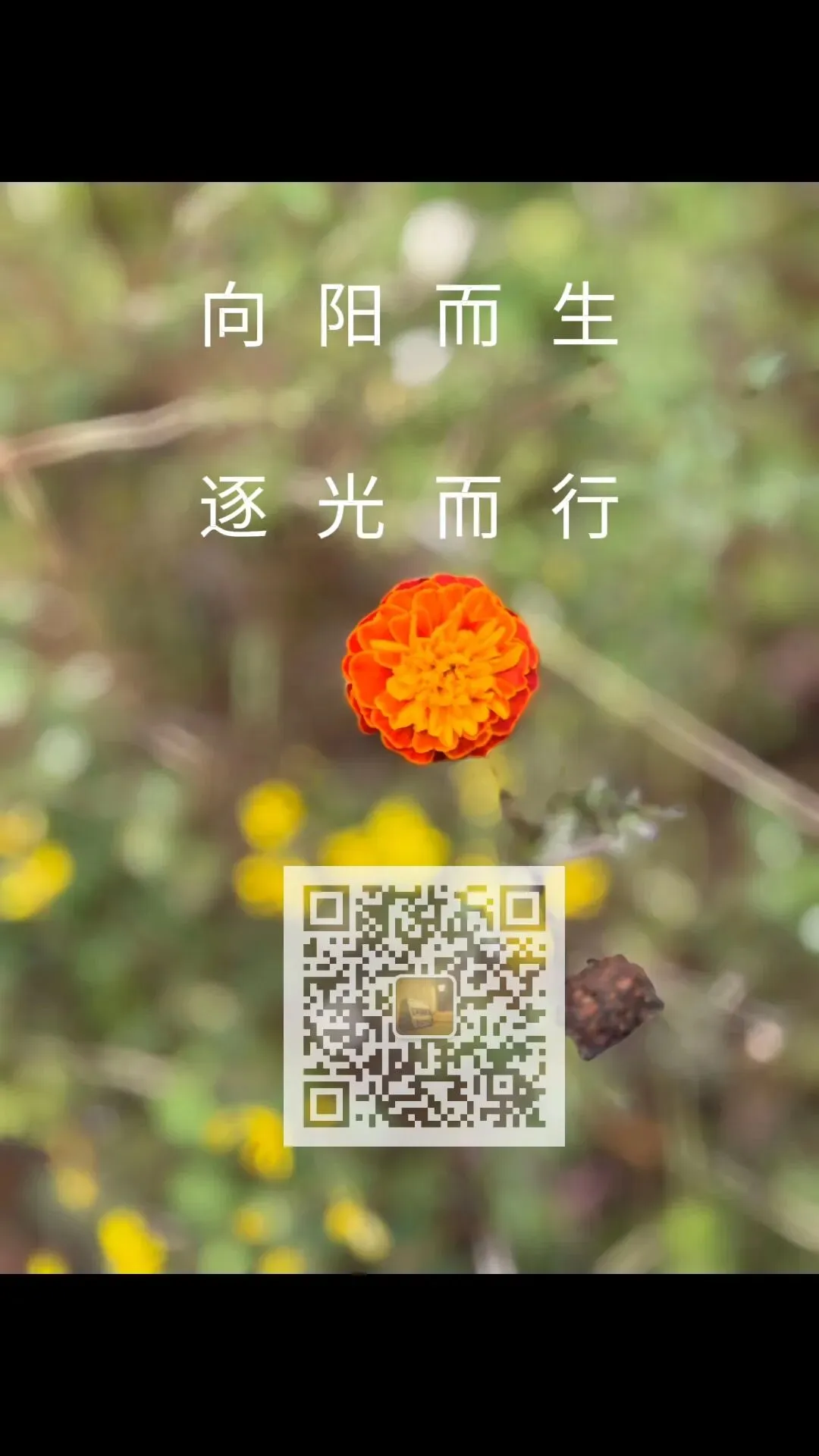 那些老歌,唱的都是我们的青春