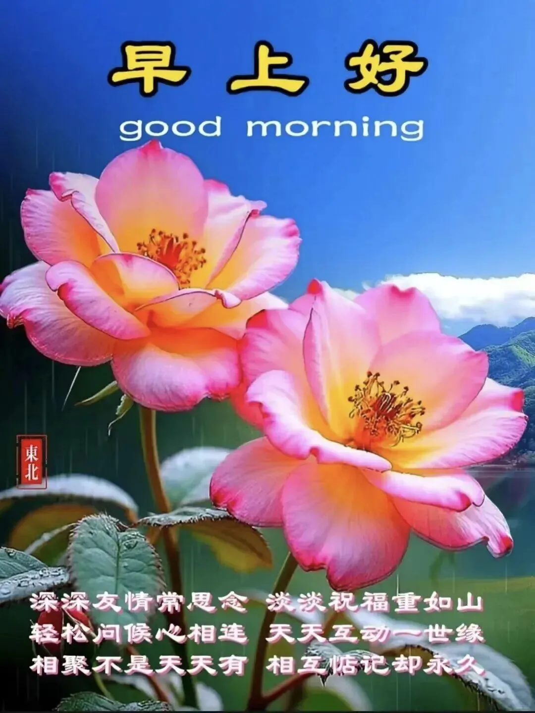 早安!经典老歌20首,送给60、70、80后,百听不厌,回味无穷(建议收藏)1