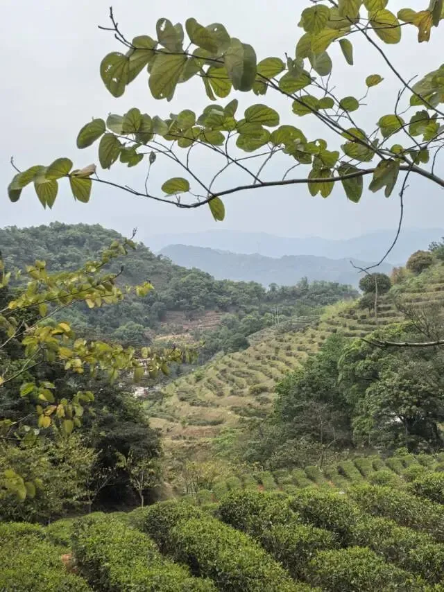 听一首老歌,致敬青春~