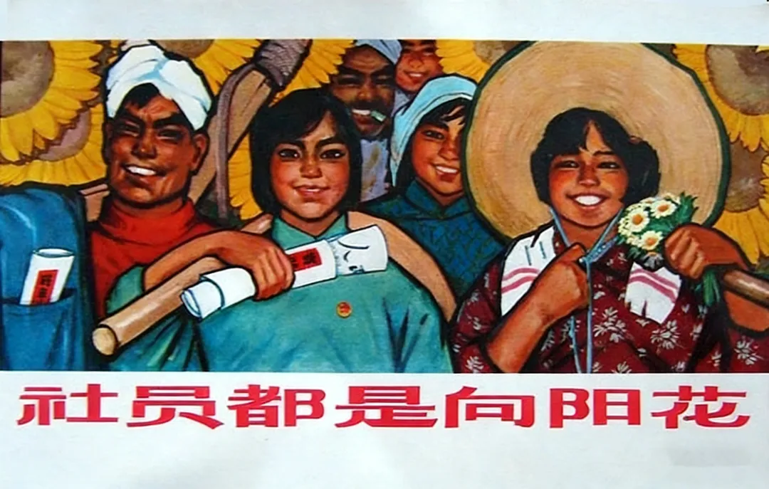 重温年代久远的歌曲:《社员都是向阳花》