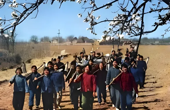 12首知青时代歌曲,知识青年上山下乡来