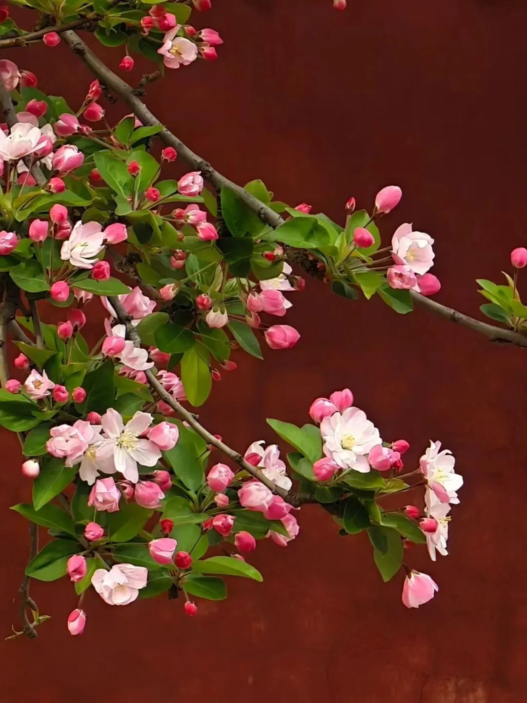 没事了听听老歌