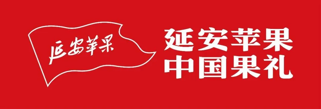 歌唱延安苹果||好听原创歌曲《大美延安苹果红》火热上线啦!