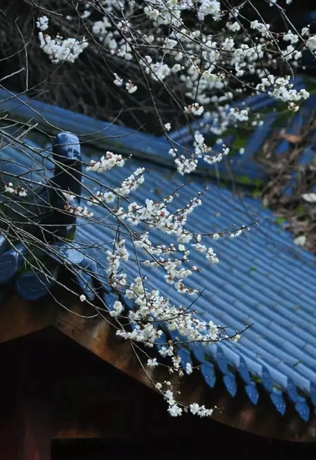 人生就是一首三七歌