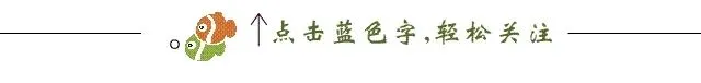 岁月留痕丨相逢是首歌