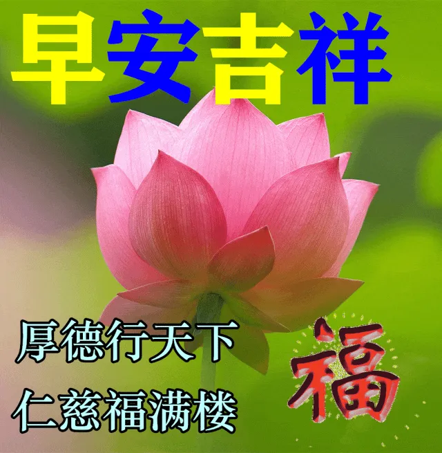 早安,一首老歌,致一生为我们操劳的父母