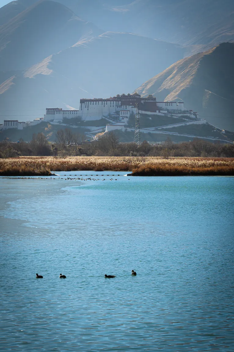 高 原 之 歌 :拉 萨 河