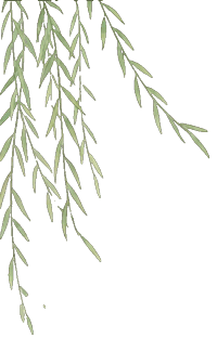 【歌从茅山来·树德育美】非遗润童心 少年展风华——茅山学校学子沉浸式参与茅山会船盛会