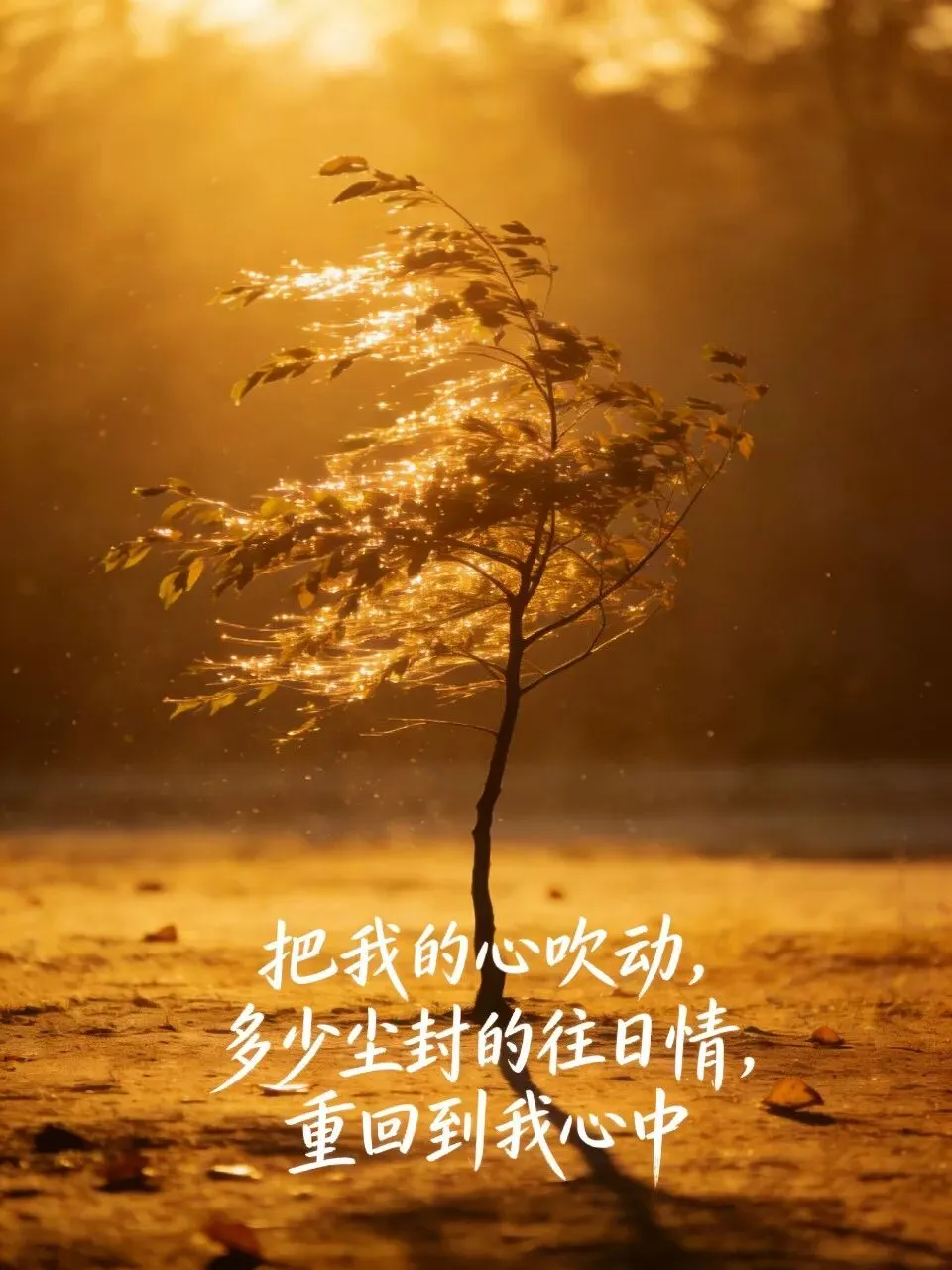 老歌一响,才知童年再苦,也是回不去的光