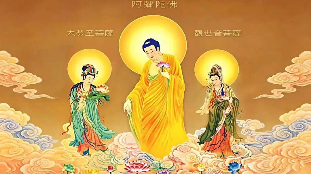学净师兄的歌(音频合集)