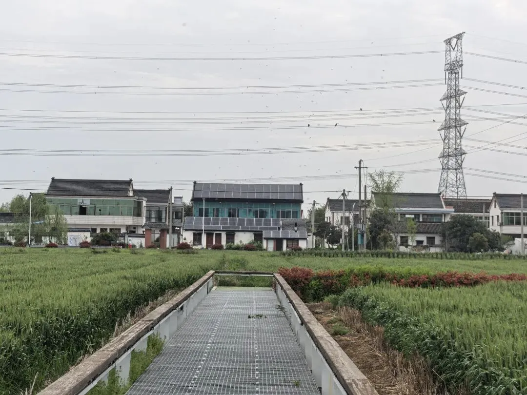 赋歌海宁和美乡村第十一村新仓村