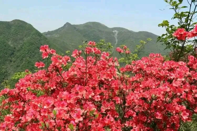 哪一首歌最能代表赣州(续)?