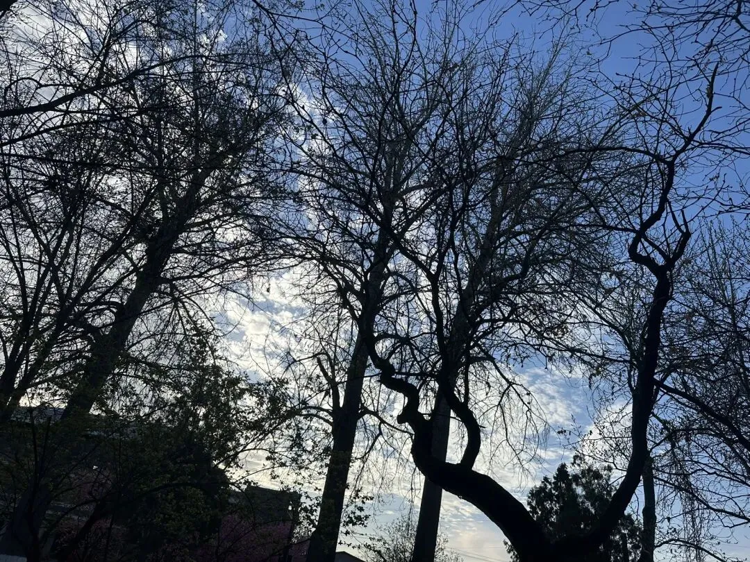 目瑙纵歌:跳在中国大地上的歌