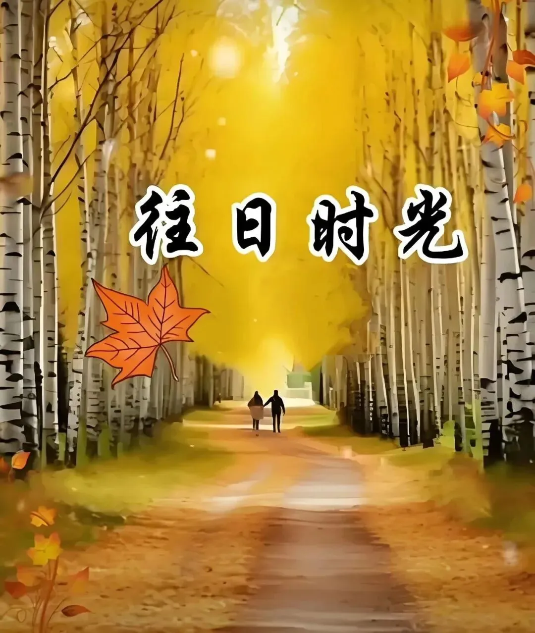 经典老歌:《往日时光》简易版/演奏版/弹唱版/(五线谱+简谱+音频)多版本任君选择