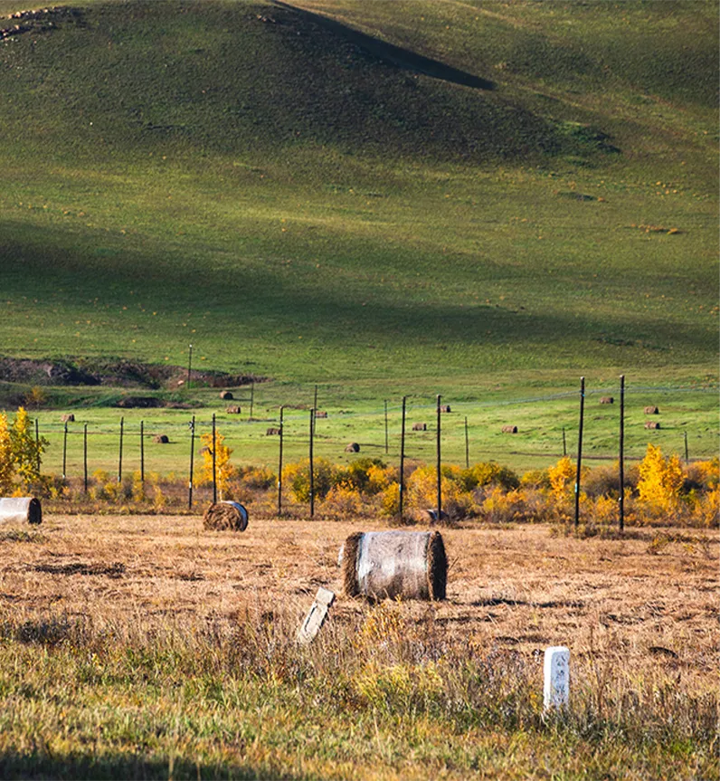 故乡的歌与寻味柳南美食攻略