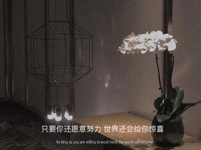 好好背方歌041 | 痛泻要方