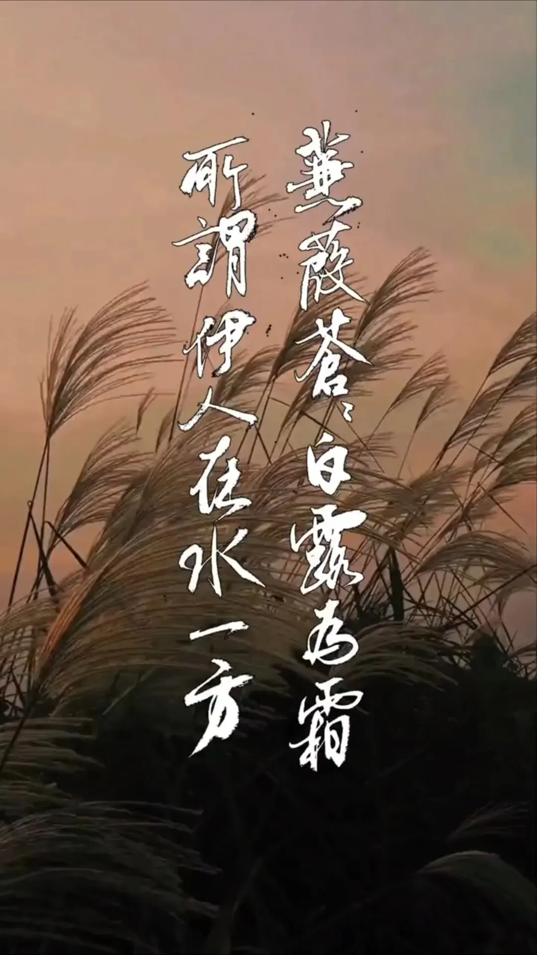 箫声如歌 在水一方