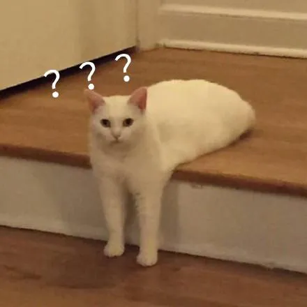 以艺抗疫,以歌传情 | 2020校园十佳歌手大赛评委阵容强势来袭