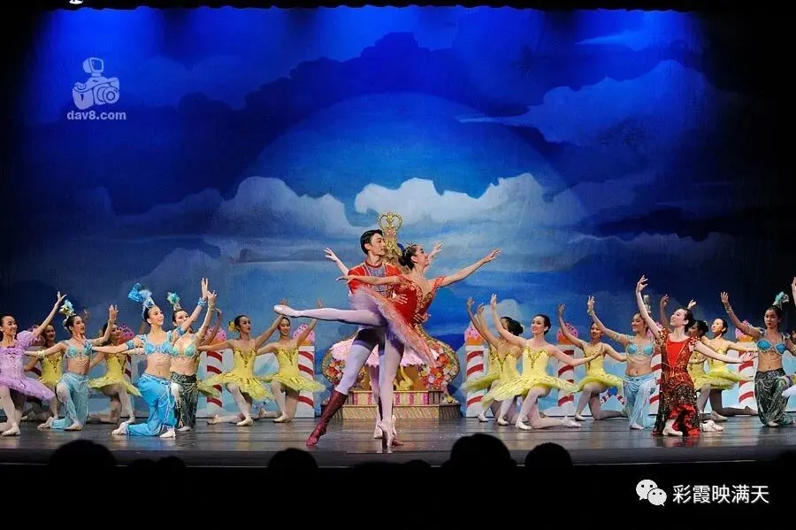 晓边如歌67.美国红梅