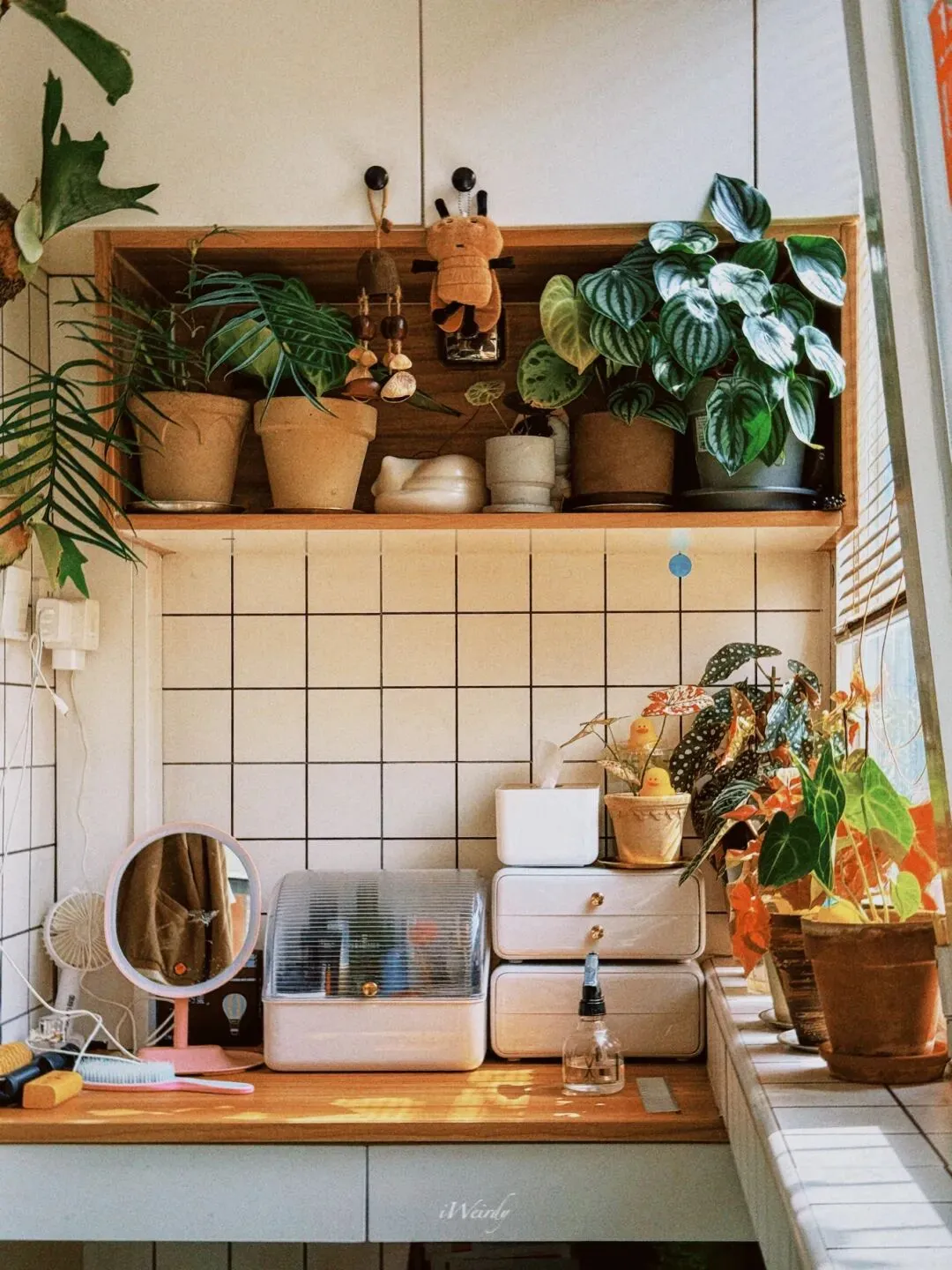 “让我成为青年、森林和一首歌曲”