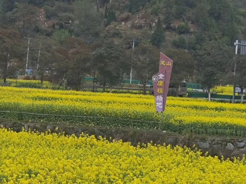 凤山墨韵,江湖长歌