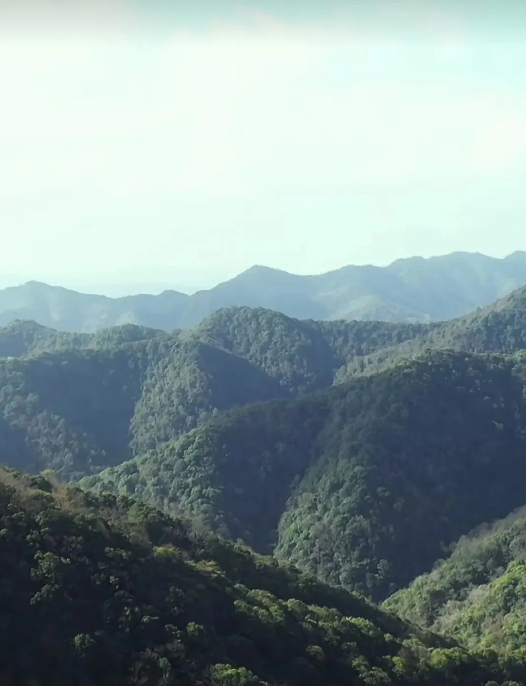 马坑采茶歌