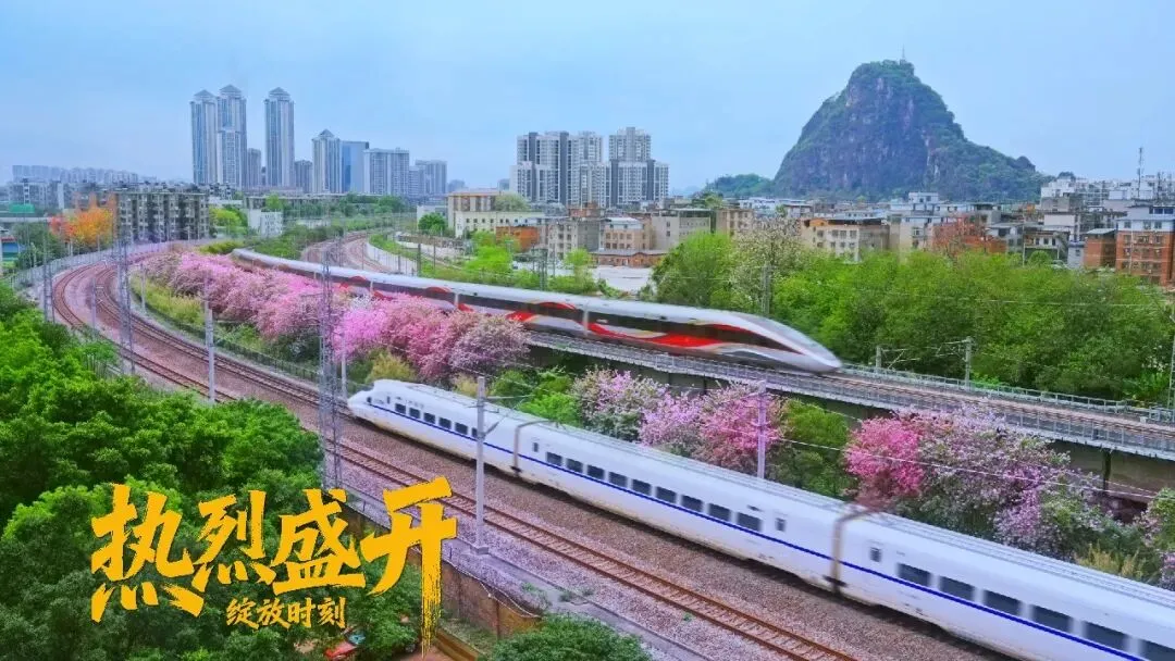 这是周深为柳州献歌吗|用2026苏超主题曲《热烈盛开》,打开大美柳州,真的太绝了!