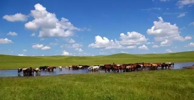 内蒙古人不得不唱的10首草原歌曲 赶快收藏了学学吧!