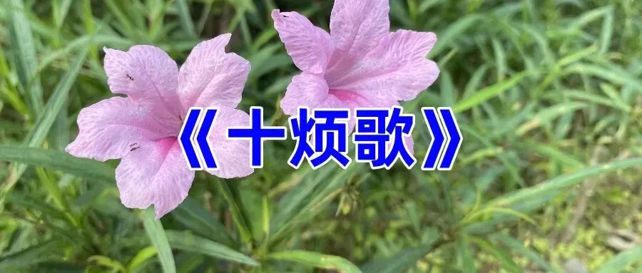 《十烦歌》