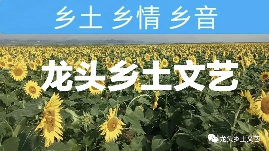 五月风||牡丹之歌