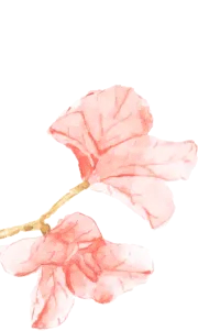 春生万物 生辰如歌|这场生日会,我们把春天和祝福都送给你~