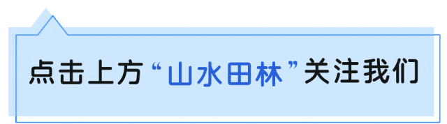 歌起田林,声动三省——这场民族山歌盛宴,藏着最动人的团结密码