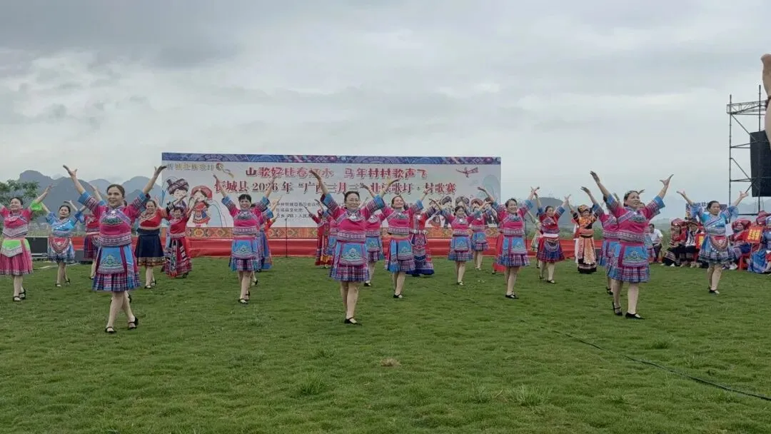 薰衣草香伴歌飞 忻城三月三唱响壮乡非遗华章
