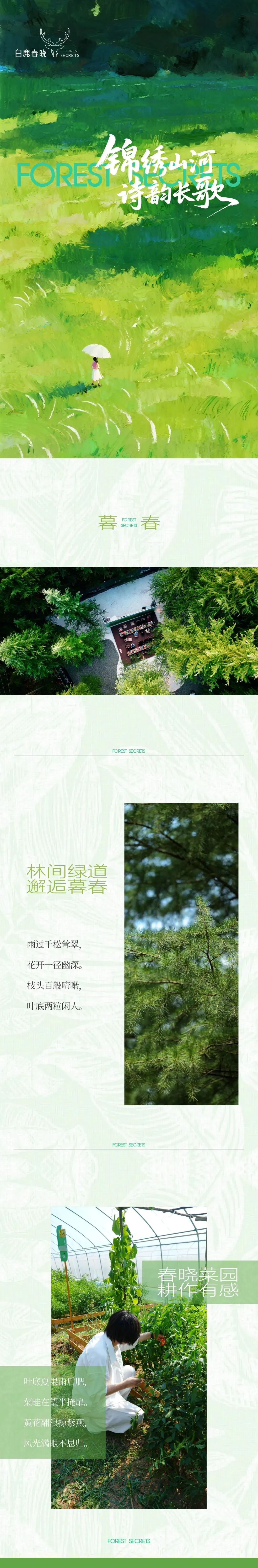 锦绣山河 诗韵长歌—白鹿春晓业主诗词鉴赏