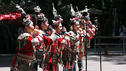 歌落岜沙,映春山—岜沙映山红对歌节余韵绵长