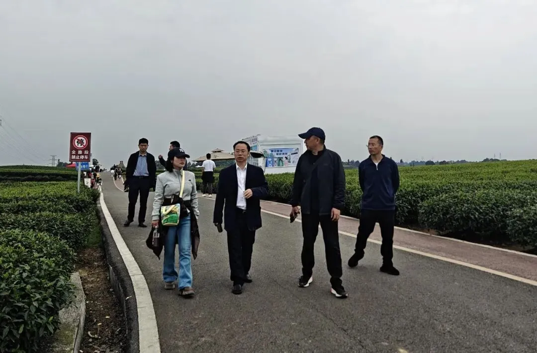 从刷屏画卷到爆款歌曲 雅安千里江山再破圈