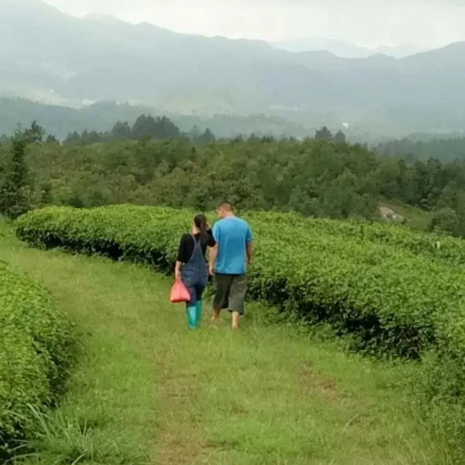 生命历程|成长之歌