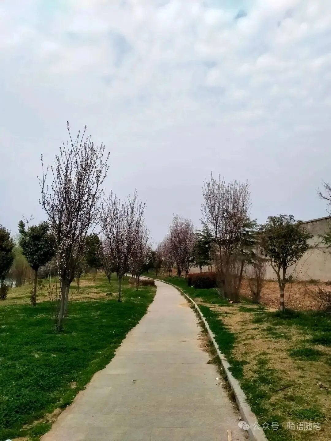 歌曲欣赏|漫漫人生路 终被岁月轻描淡写