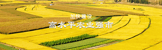 碧水长歌·引松纪 | 那一方干涸的土地,曾如此“渴”望