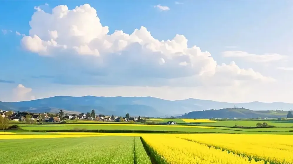 春日行歌踏春寻芳 ,正是出行踏青的好时节,去邂逅春日的无限温柔