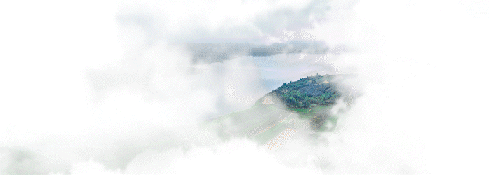 原创欣赏 | 歌曲《好茶请到我家喝》