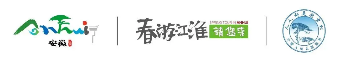 桐城歌原创音乐情景剧编排演整体服务项目中标结果公示