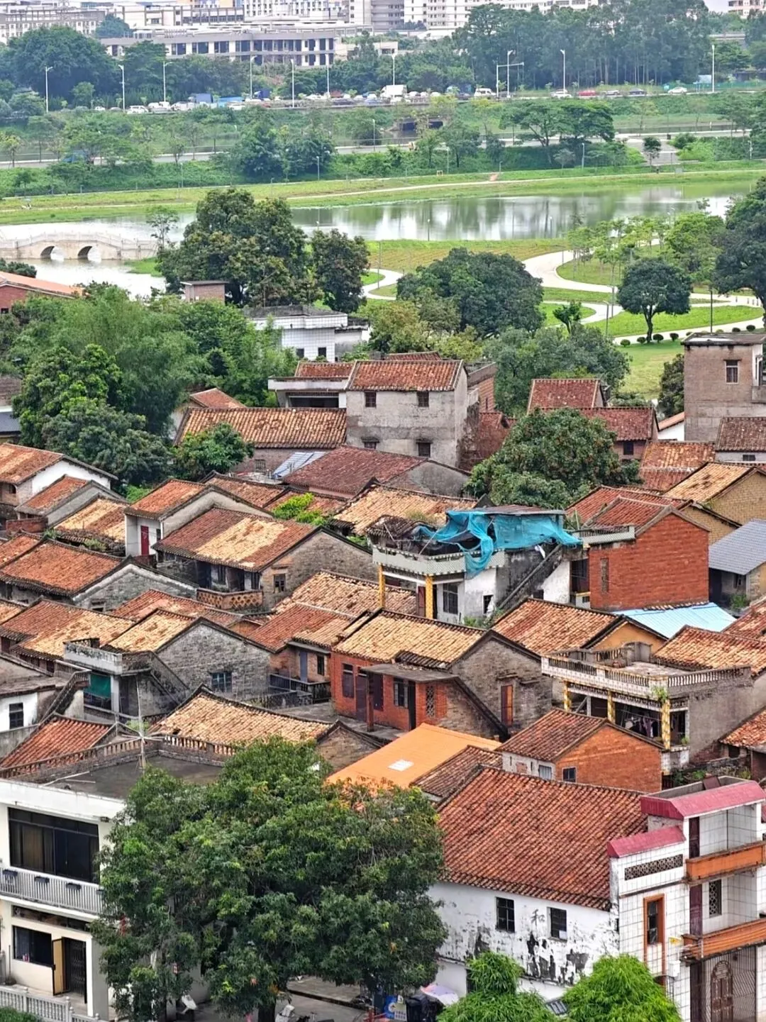 一首歌的时间登顶!东莞这个0元小众公园,i人懒人狂喜!还有古村+湖边,太好逛了!