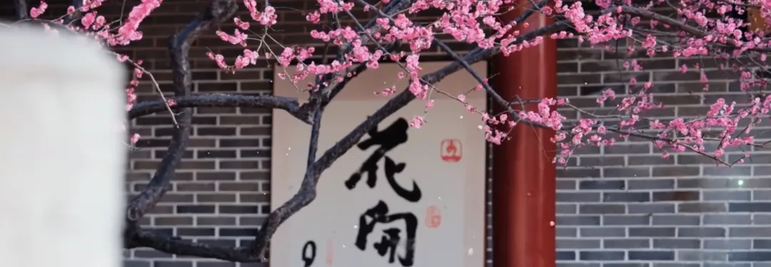 太极歌曲《梅花赋》加长版,好听!京腔余韵绕梁不散